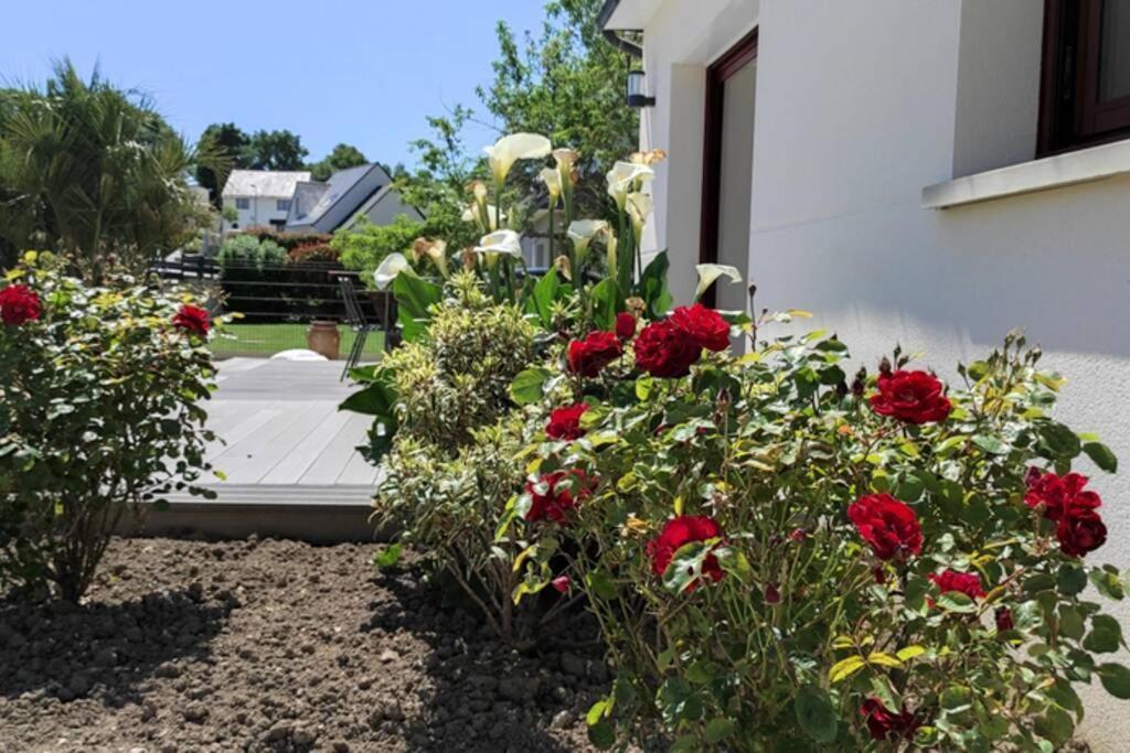 ✪ Sur La Route Des Plages - Maison Pour 8 Pers. ✪ Auray Exterior foto